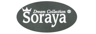 logo SORAYA